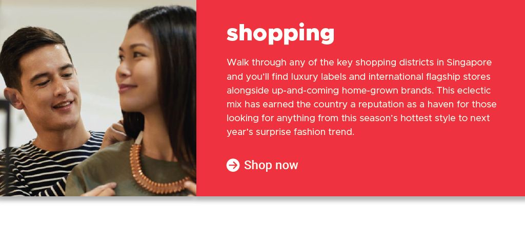 LSI Asia